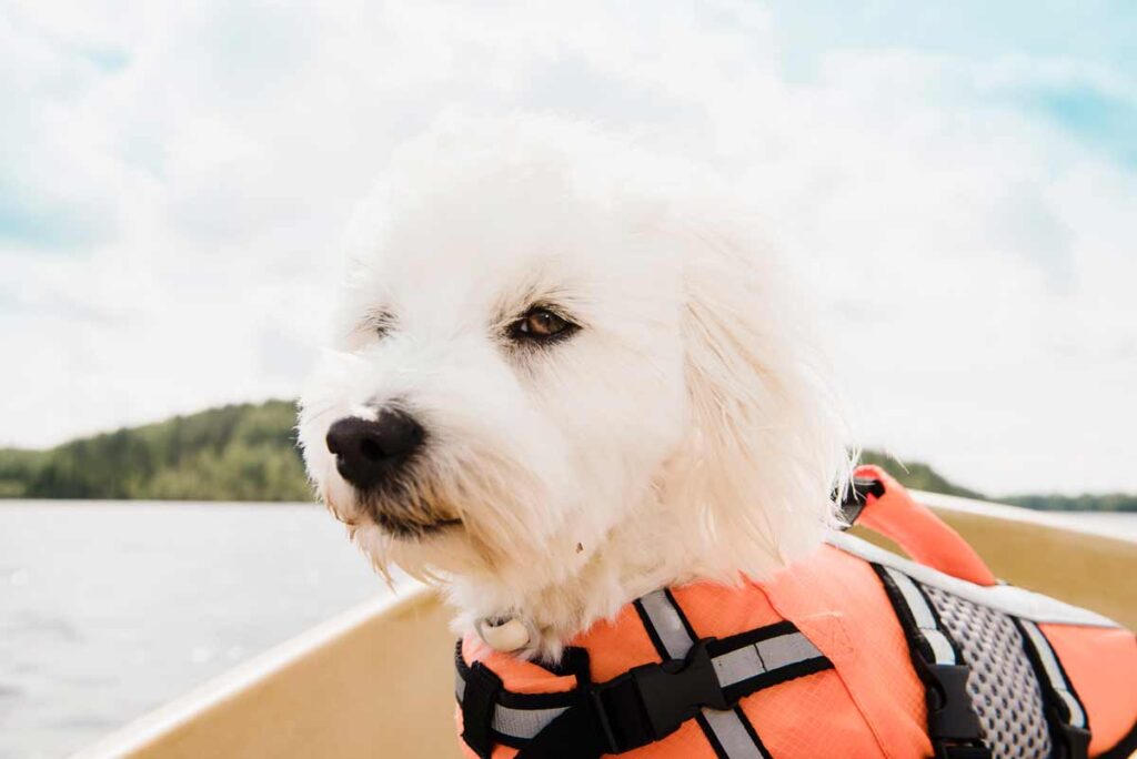 Navigating South Lake Tahoe - Benefits of Boating Education